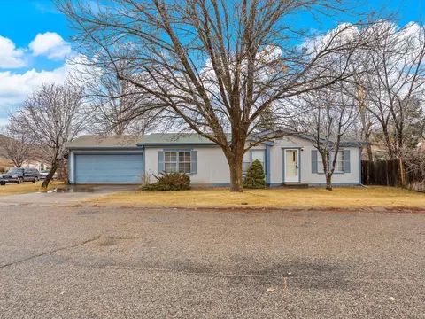 151 E Tamarack Cir, Parachute, CO 81635
