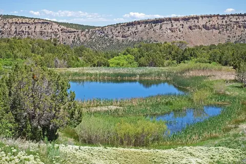 tbd Old Hwy 90 Highway 90, Montrose, CO 81403