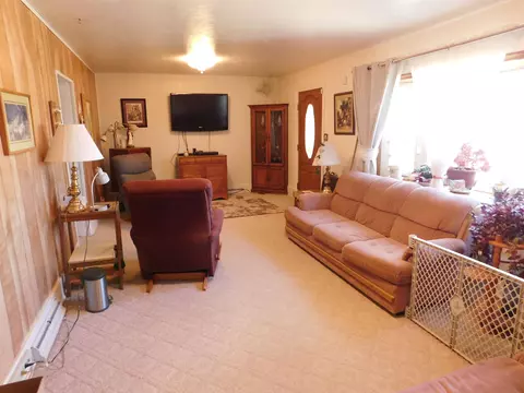 923 18 Rd, Fruita, CO 81521 photo 3