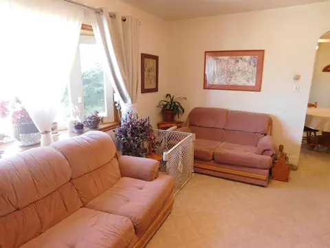 923 18 Rd, Fruita, CO 81521 photo 4