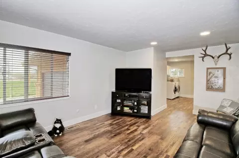 1154 18 12 Rd, Fruita, CO 81521 photo 5
