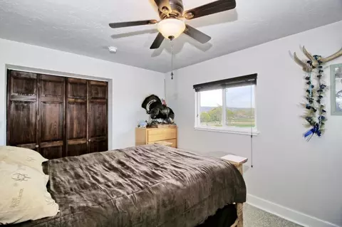 1154 18 12 Rd, Fruita, CO 81521 photo 15