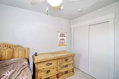 1154 18 12 Rd, Fruita, CO 81521 photo 19