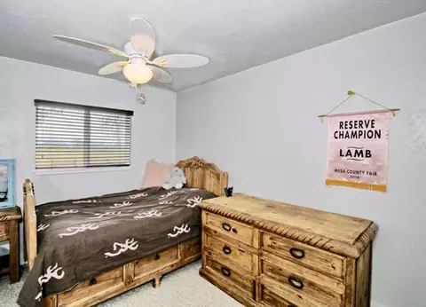 1154 18 12 Rd, Fruita, CO 81521 photo 18