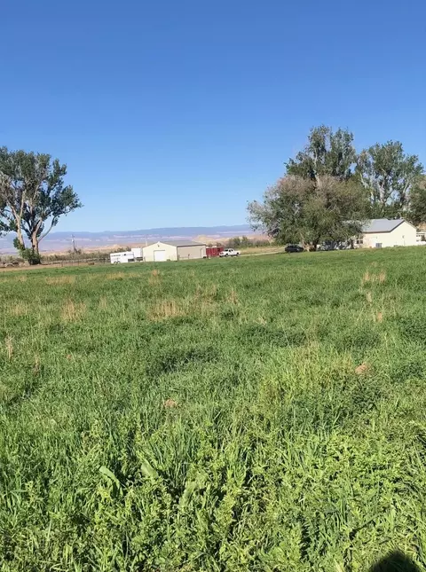 12480 Running Deer Rd, Eckert, CO 81418 photo 16
