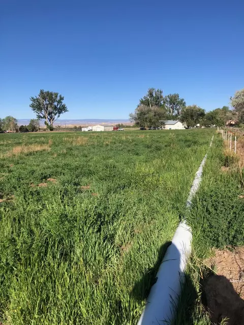12480 Running Deer Rd, Eckert, CO 81418 photo 15