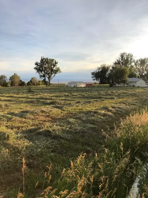 12480 Running Deer Rd, Eckert, CO 81418 photo 19