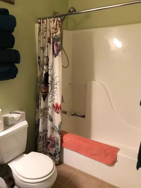 12480 Running Deer Rd, Eckert, CO 81418 photo 9