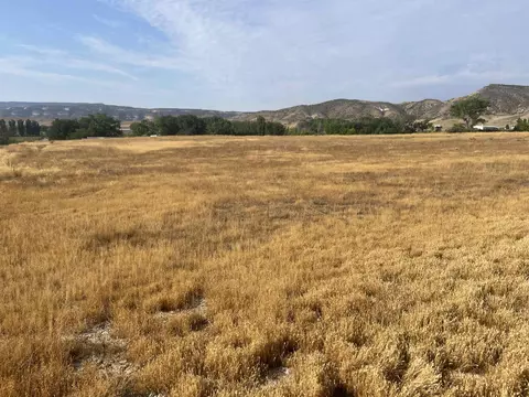 1315 12 14 Rd, Loma, CO 81524
