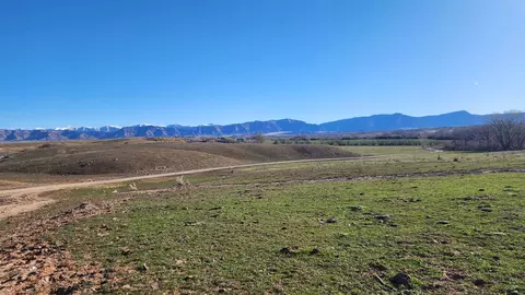 1585 19 Rd, Fruita, CO 81521 photo 6