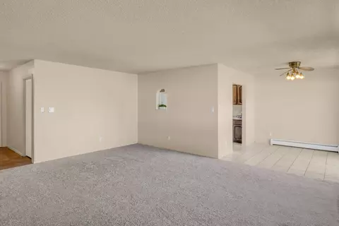 Other - 233 W Meadow Ave, Fruita, CO 81521 photo 2 of 8