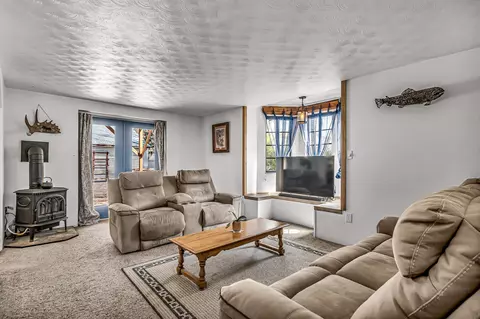 231 Spring St, Collbran, CO 81624 photo 4