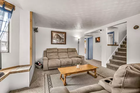 231 Spring St, Collbran, CO 81624 photo 5