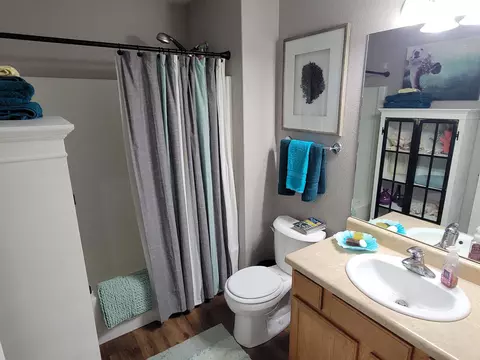 Bath - 853 Jasper Dr, Fruita, CO 81521 photo 4 of 4