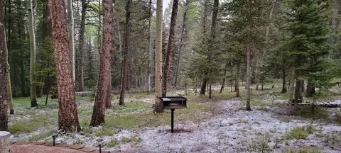 352 Rim Rd, Cimarron, CO 81220 photo 12