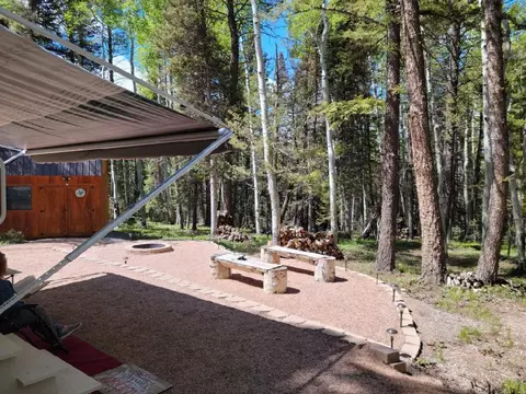 352 Rim Rd, Cimarron, CO 81220 photo 6