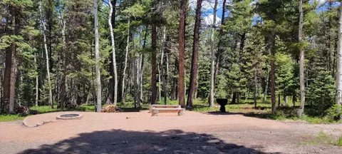 352 Rim Rd, Cimarron, CO 81220 photo 26