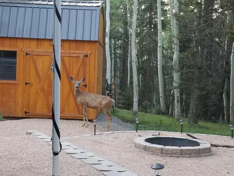 352 Rim Rd, Cimarron, CO 81220 photo 22