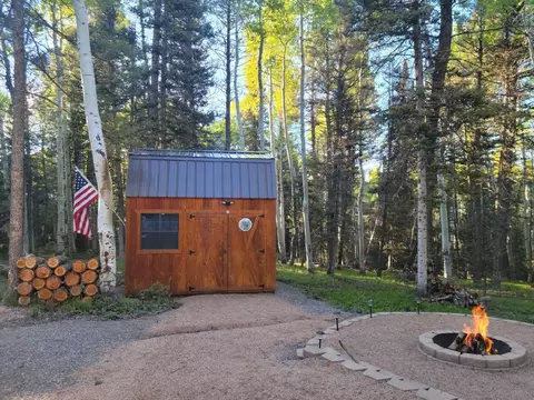 352 Rim Rd, Cimarron, CO 81220 photo 8