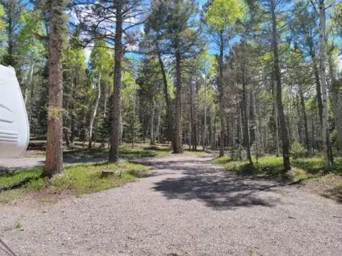 352 Rim Rd, Cimarron, CO 81220 photo 3