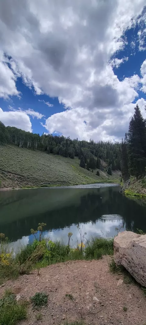 352 Rim Rd, Cimarron, CO 81220 photo 18