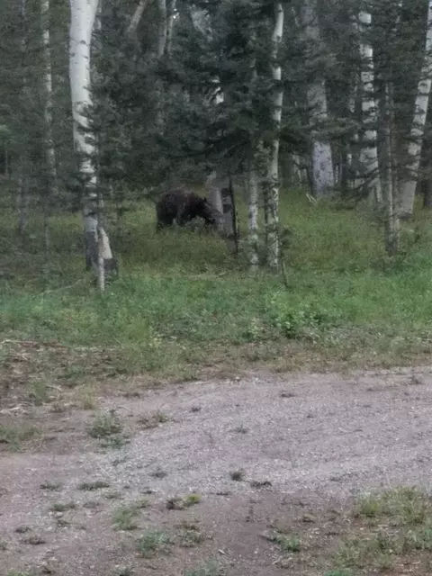 352 Rim Rd, Cimarron, CO 81220 photo 21