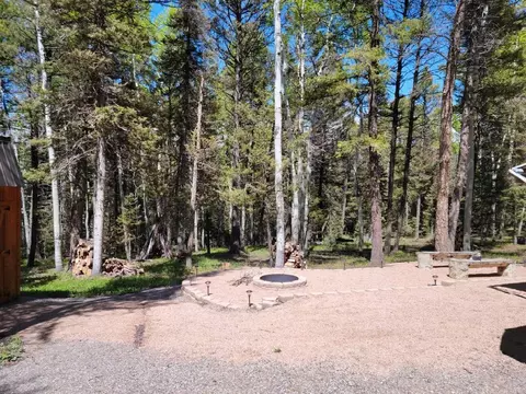 352 Rim Rd, Cimarron, CO 81220 photo 9