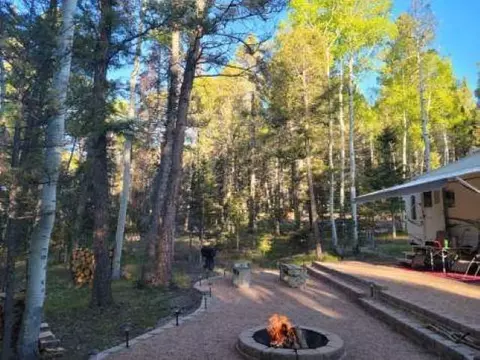 352 Rim Rd, Cimarron, CO 81220 photo 2