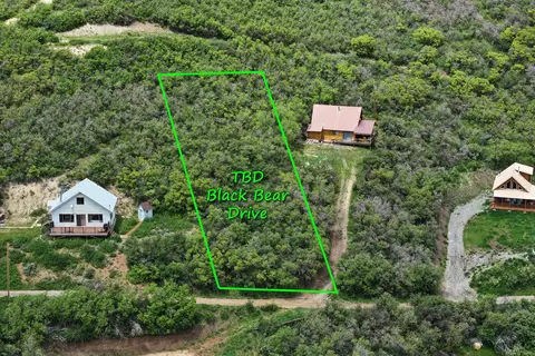 tbd Black Bear Dr, Collbran, CO 81624 photo 2