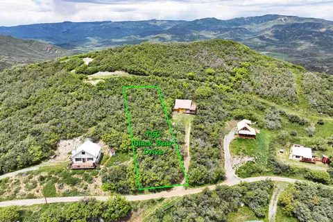 tbd Black Bear Dr, Collbran, CO 81624 photo 3