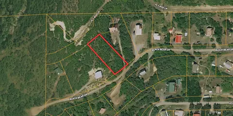 tbd Black Bear Dr, Collbran, CO 81624 photo 4