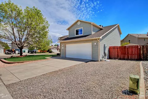 202 Ribbon Ct, Fruita, CO 81521 photo 4