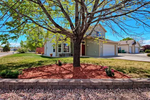202 Ribbon Ct, Fruita, CO 81521 photo 3