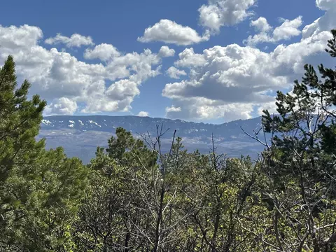 Tbd Pinon Road East, Ridgway, CO 81432