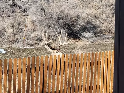 Other - 835 Cresthaven Dr, Fruita, CO 81521 photo 12 of 12