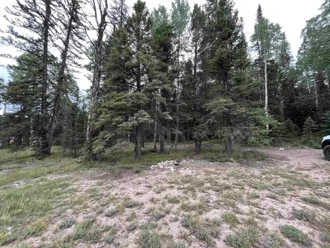 351 Crest Dr, Cimarron, CO 81220 photo 5