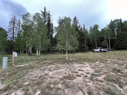 351 Crest Dr, Cimarron, CO 81220 photo 3