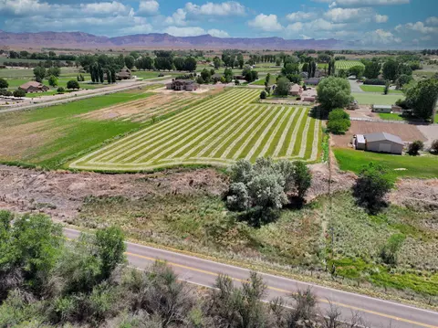 1760 Lucki Dr, Fruita, CO 81521 photo 34