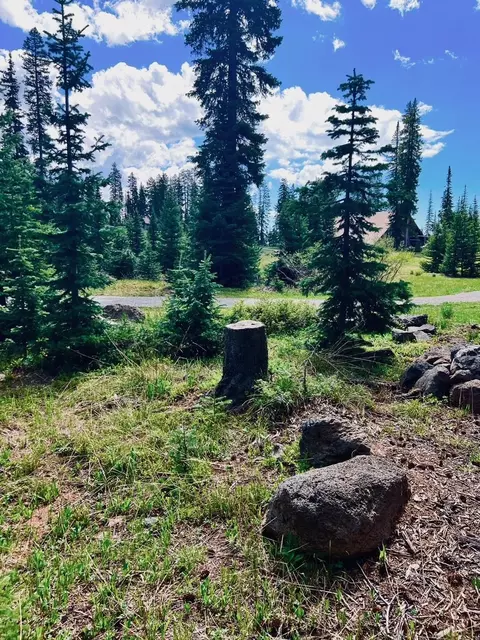 26707 High Dr, Cedaredge, CO 81413 photo 34