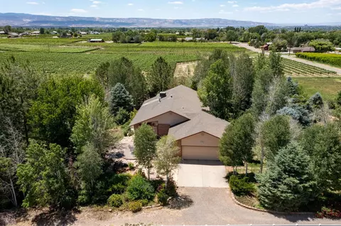 3337 C Rd, Palisade, CO 81526
