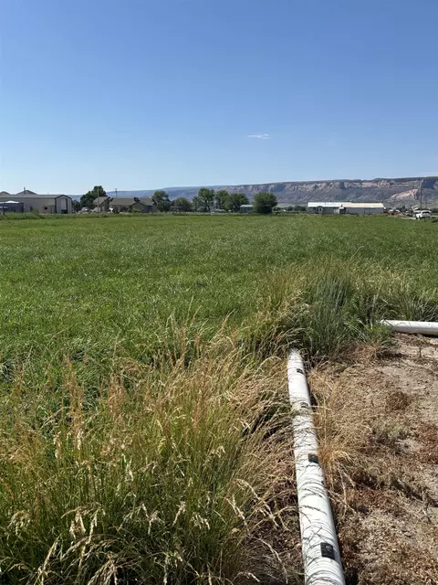 1967 J Rd, Fruita, CO 81521 photo 15