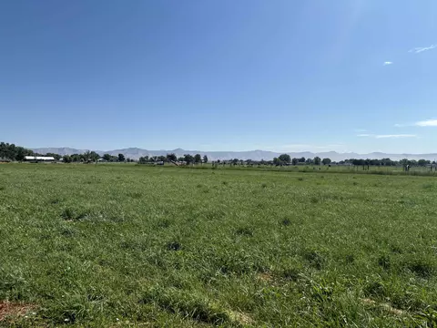 1967 J Rd, Fruita, CO 81521 photo 8