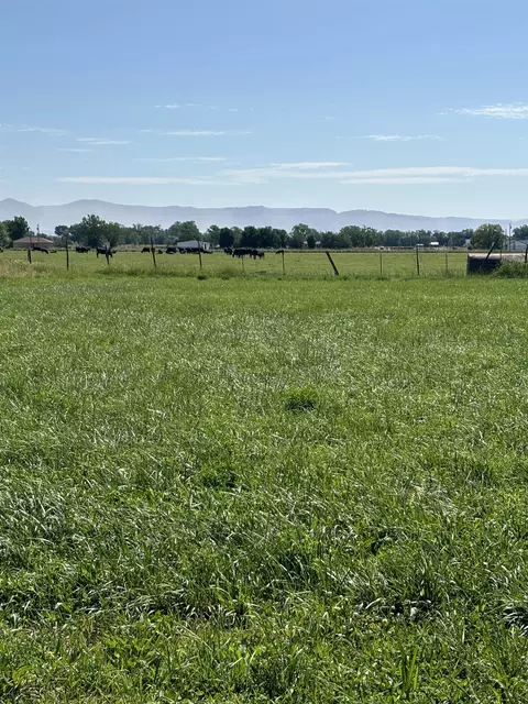 1967 J Rd, Fruita, CO 81521 photo 7