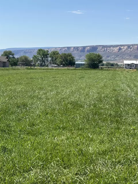 1967 J Rd, Fruita, CO 81521 photo 6