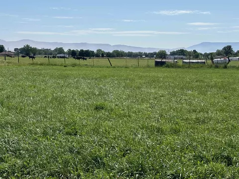 1967 J Rd, Fruita, CO 81521 photo 5