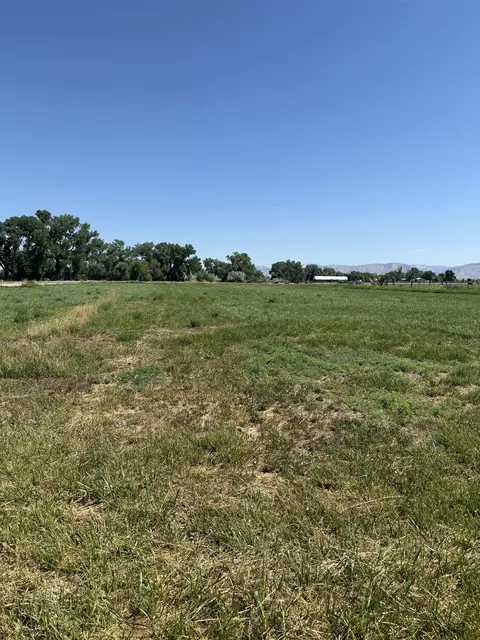 1967 J Rd, Fruita, CO 81521 photo 3