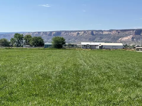 1967 J Rd, Fruita, CO 81521 photo 9