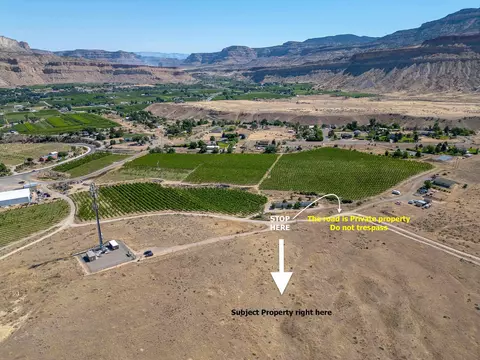 583 38 Rd, Palisade, CO 81526