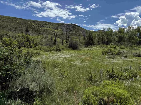 64921 64 610 Rd, Collbran, CO 81624