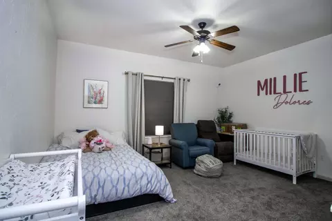 1028 19 12 Rd, Fruita, CO 81521 photo 14